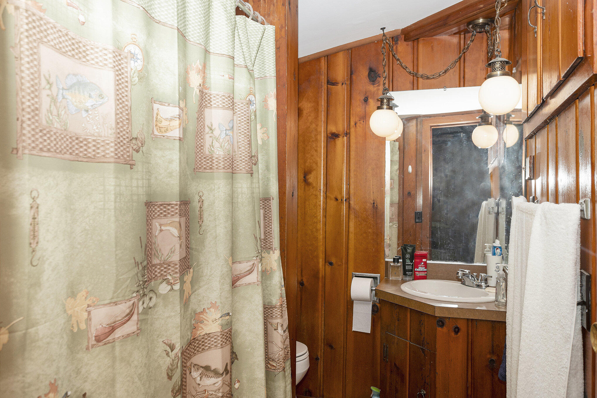 19536 Lakeshore Drive Three Rivers, MI 49093 - Photo 11 of 26 010_581a6557-_643