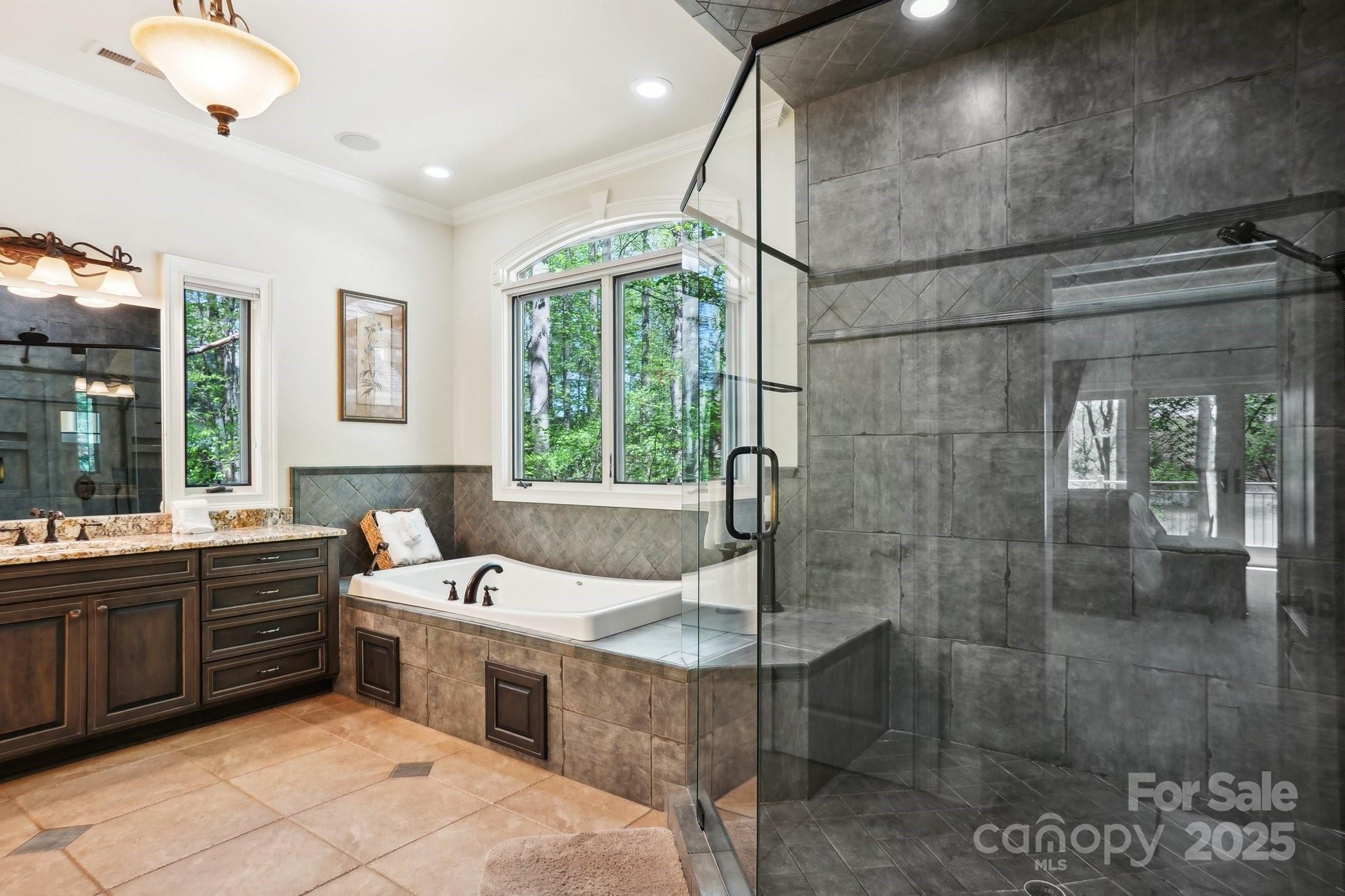 167 Maple View Drive Troutman, NC 28166 - Photo 19 of 48 a bathroom with a tub sink vanity granite and shower