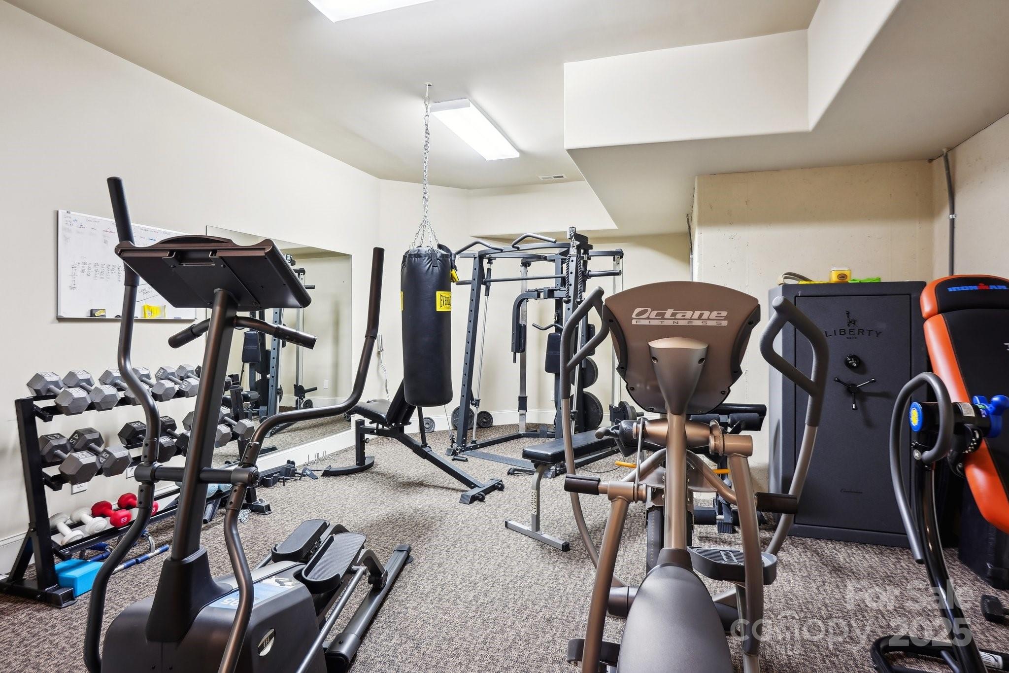 167 Maple View Drive Troutman, NC 28166 - Photo 32 of 48 a view of a room with gym equipment