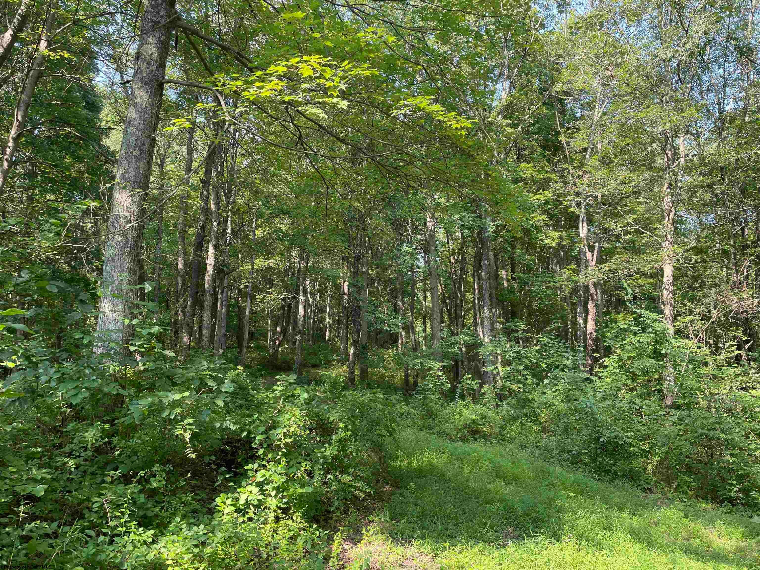 Tbd Mount Clare Road Mount Clare, WV 26408 - Photo 13 of 45 Gallery Image 13