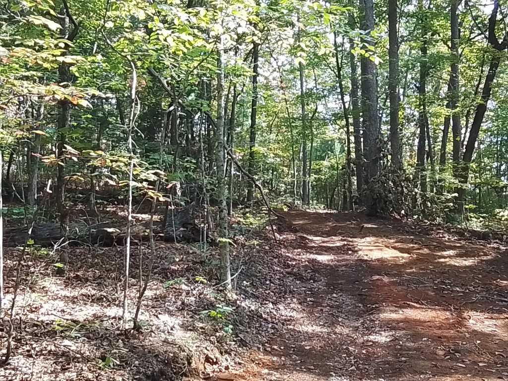 End Of Tanglewood Ridge Murphy, NC 28906 - Photo 15 of 38