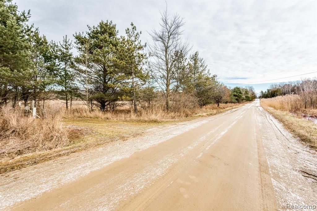 3303 Walker Road Carsonville, MI 48419 - Photo 7 of 21