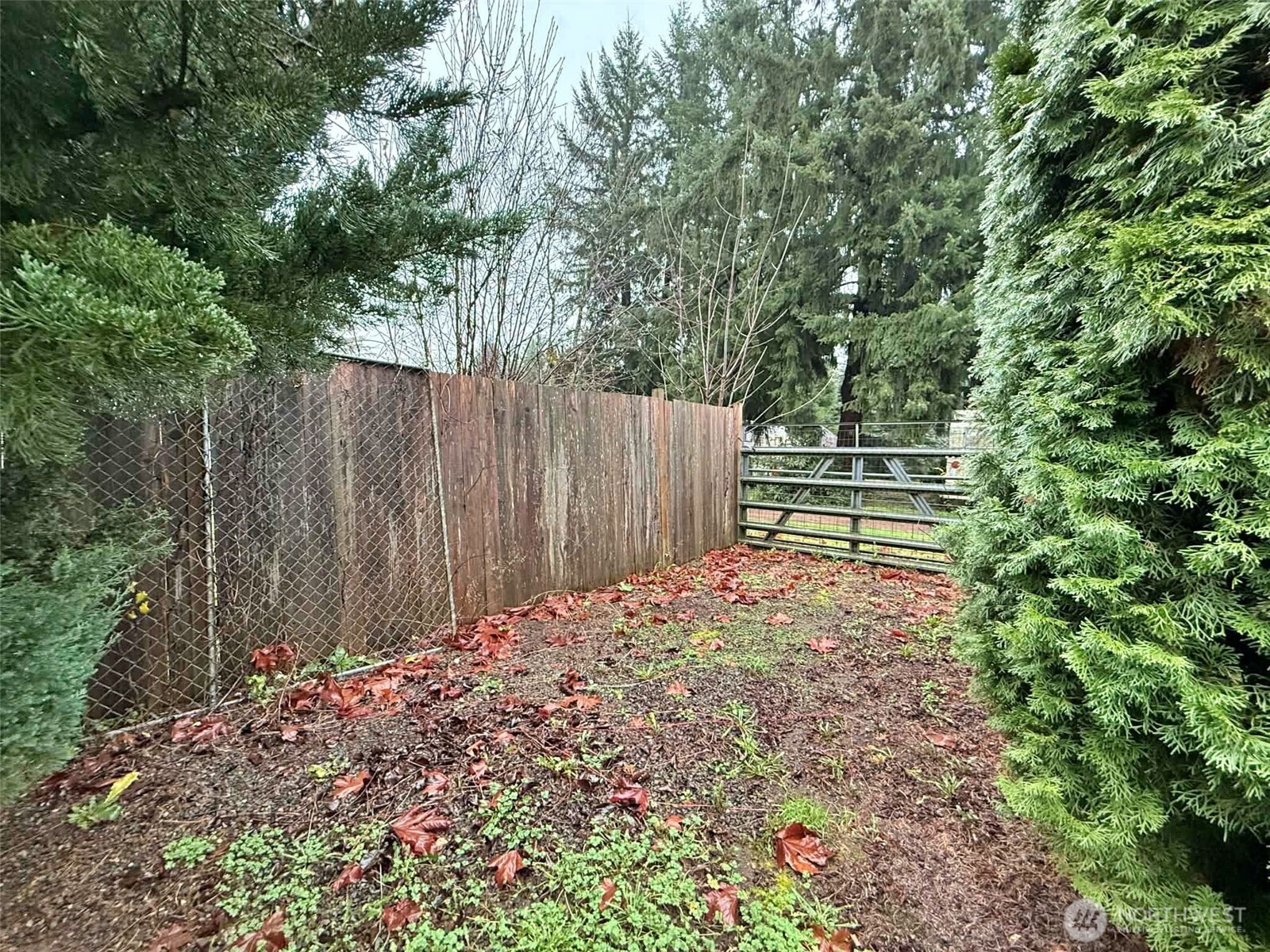 260 Stowell Road Salkum, WA 98582 - Photo 19 of 24 Gallery Image 19