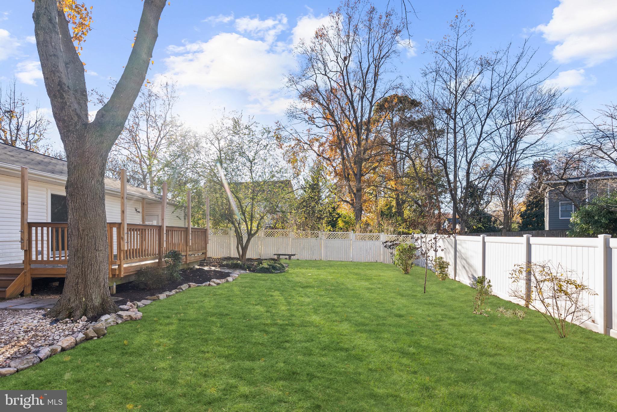 2002 Shenandoah Road Alexandria, VA 22308 - Photo 15 of 20 a view of a backyard with table and chairs and a large tree