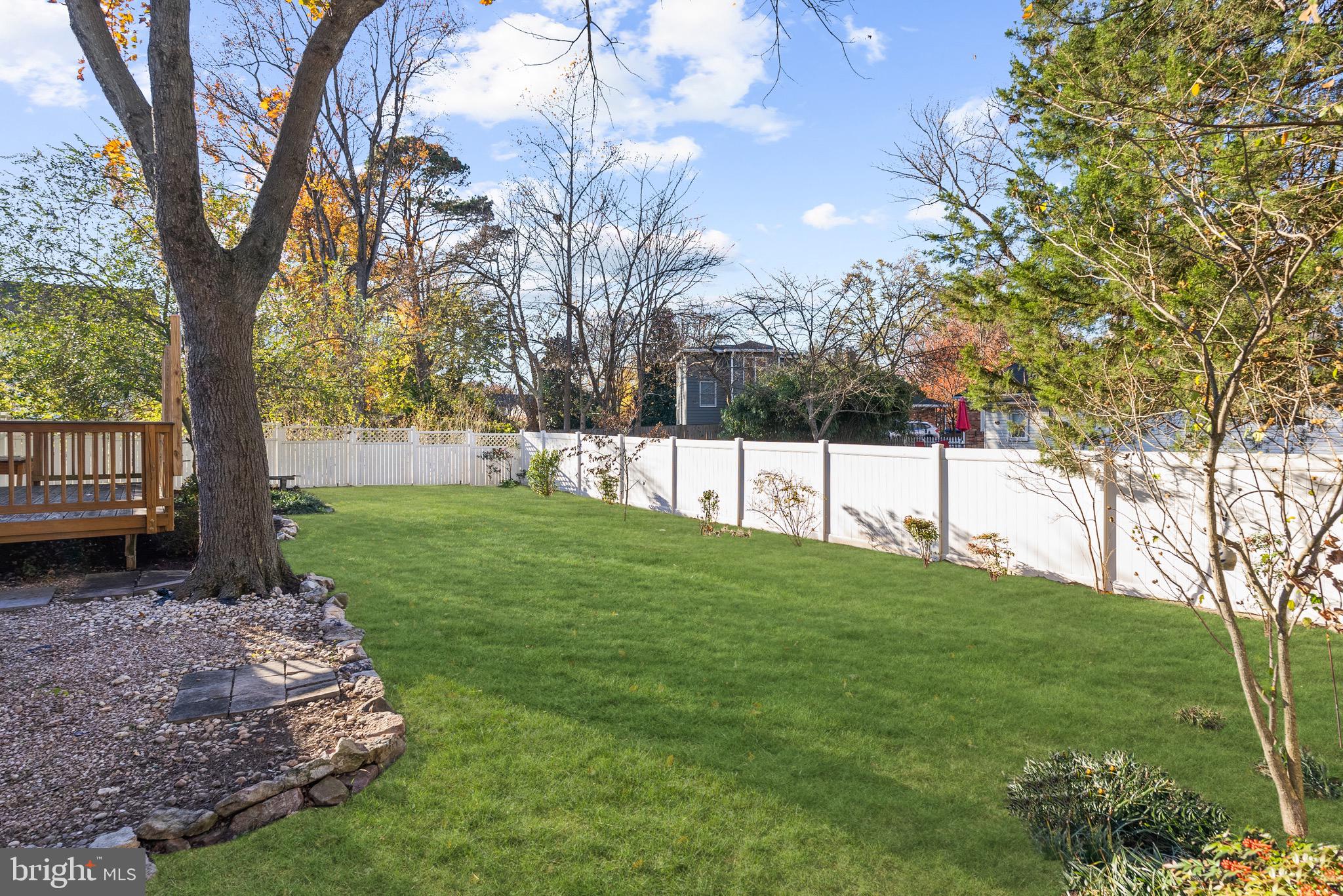 2002 Shenandoah Road Alexandria, VA 22308 - Photo 16 of 20 a view of a yard with large trees