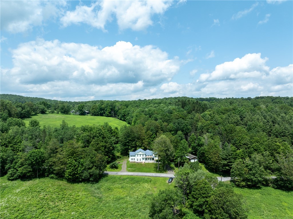 345 Dorr Edson Road Oneonta, NY 13820 - Photo 29 of 29