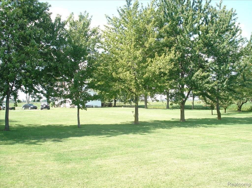 7023 Lenawee County Line Road Britton, MI 49229 - Photo 11 of 25 FRUIT TREES