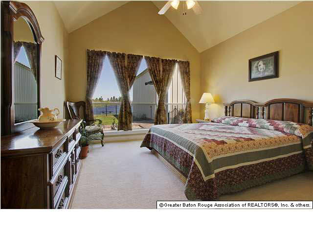 33960 Cane Market Road Walker, LA 70785 - Photo 8 of 24