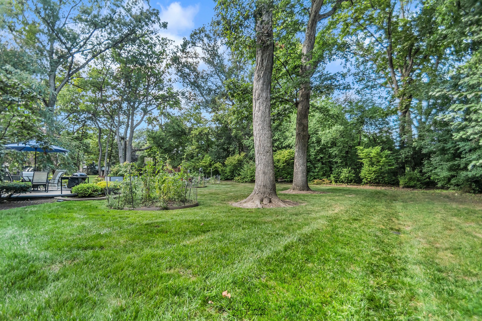 640 Ford Lane Bartlett, IL 60103 - Photo 13 of 46 a view of a trees with a yard