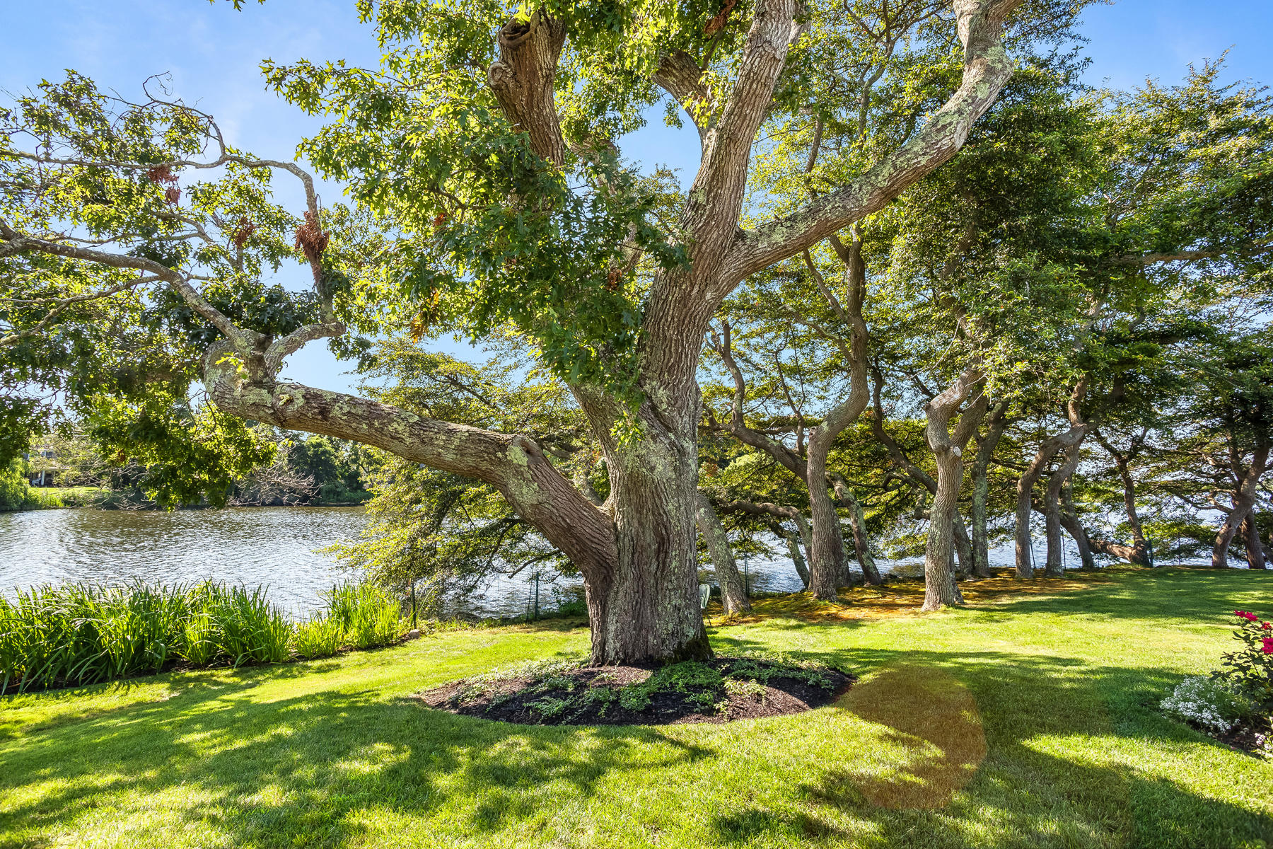67 Quonset Road Falmouth, MA 02540 - Photo 45 of 55 a view of a garden with an outdoor space