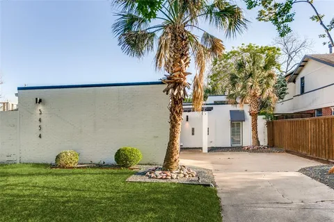 a view of a backyard with potted plants