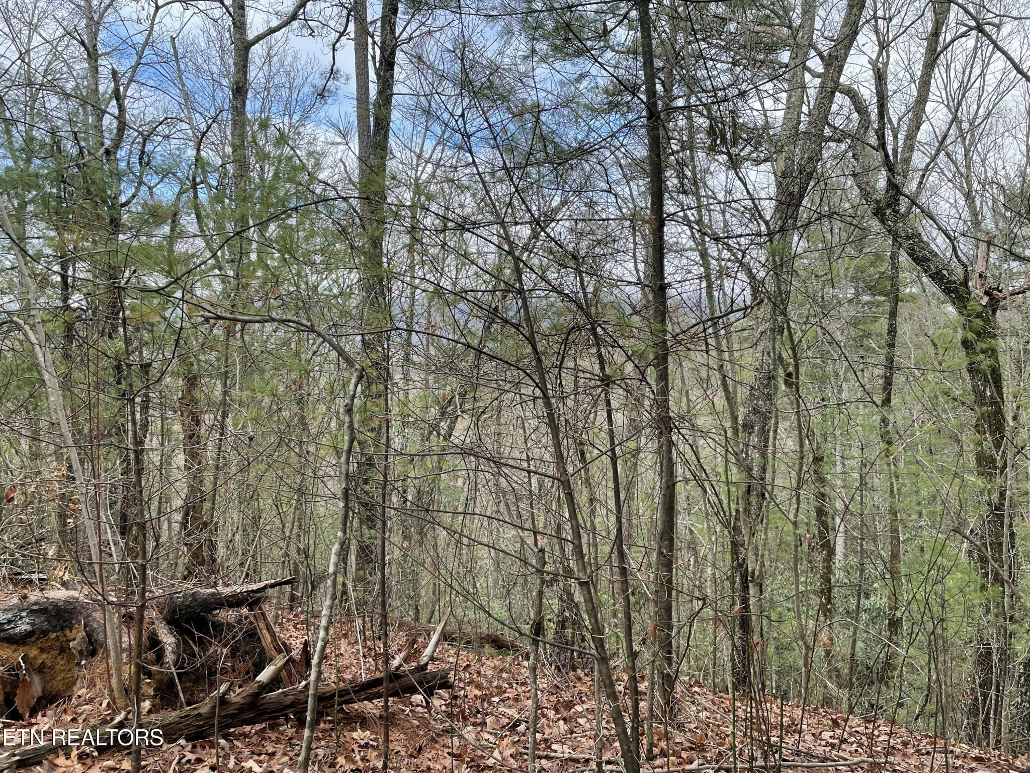 0 Walnut Flats Road Walland, TN 37886 - Photo 10 of 11 Gallery Image 10