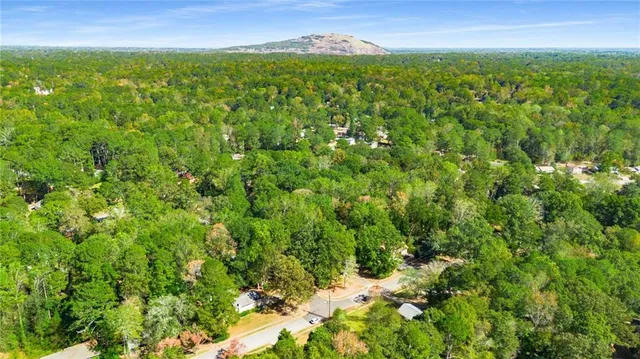 a view of a city with lush green forest