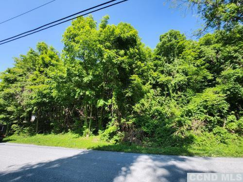 0 Brickyard Road New Lebanon, NY 12125 - Photo 1 of 5 a view of a backyard of the house