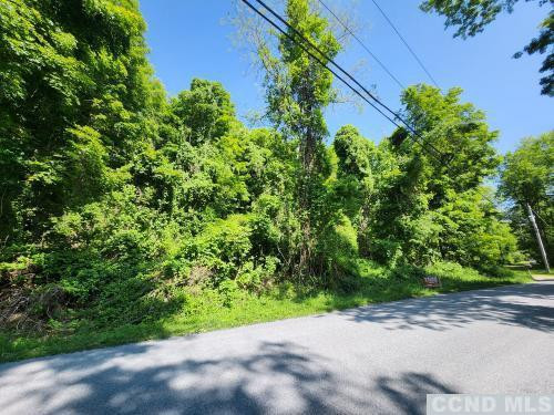 0 Brickyard Road New Lebanon, NY 12125 - Photo 2 of 5 a view of a yard with plants and a small yard