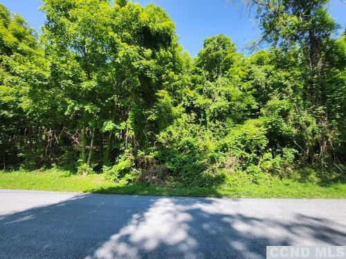 0 Brickyard Road New Lebanon, NY 12125 - Photo 3 of 5 a view of a garden with a pathway