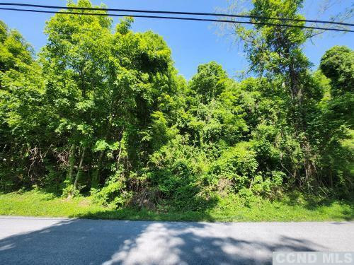 0 Brickyard Road New Lebanon, NY 12125 - Photo 4 of 5 a view of a garden