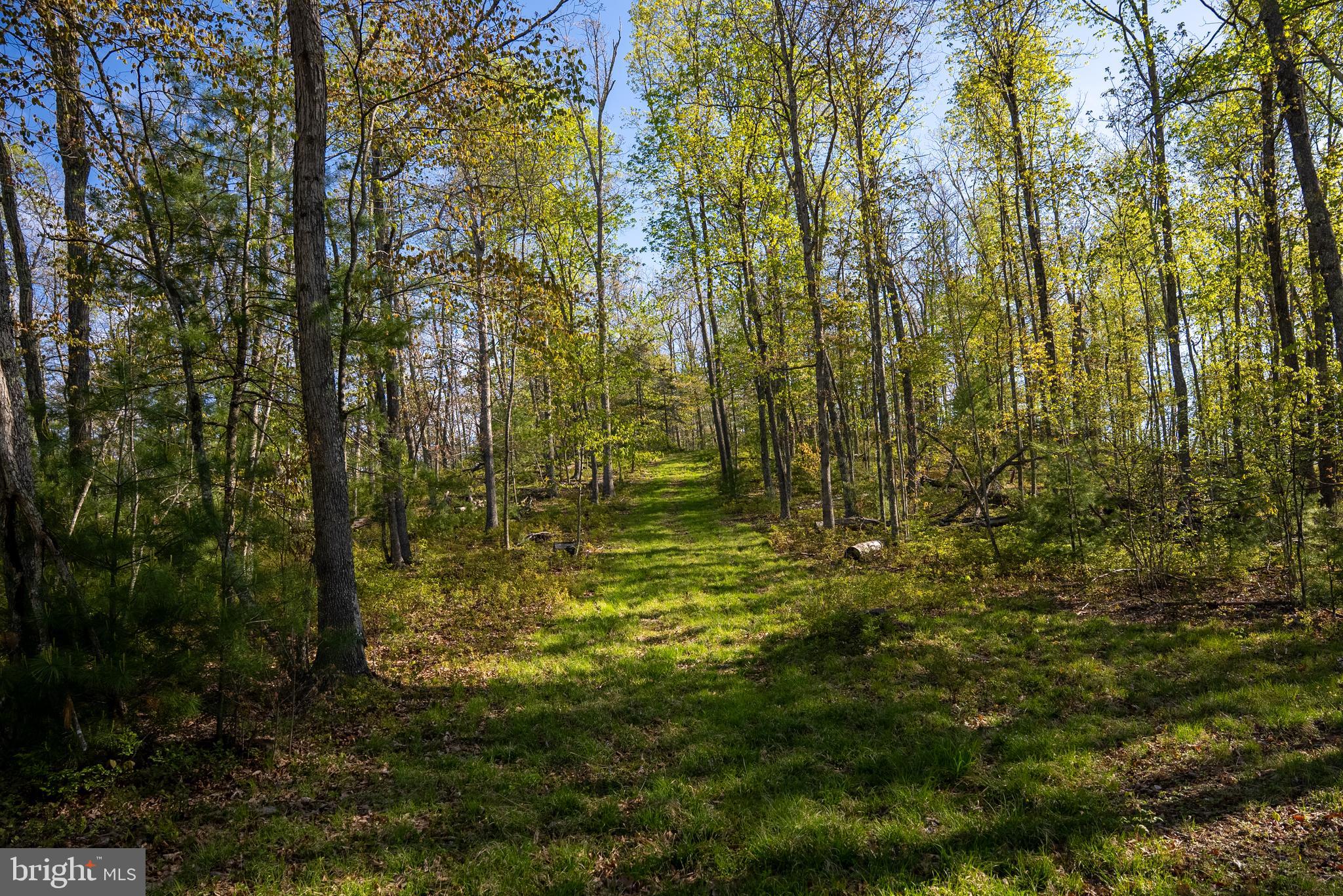 199 Green Bank Road Arbovale, WV 24915 - Photo 98 of 113