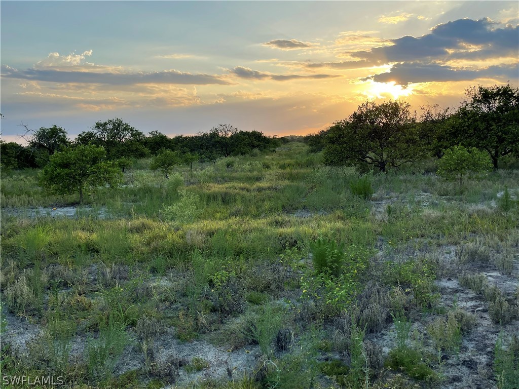 6475 7th Road LaBelle, FL 33935 - Photo 2 of 7 a view of outdoor space and mountain view