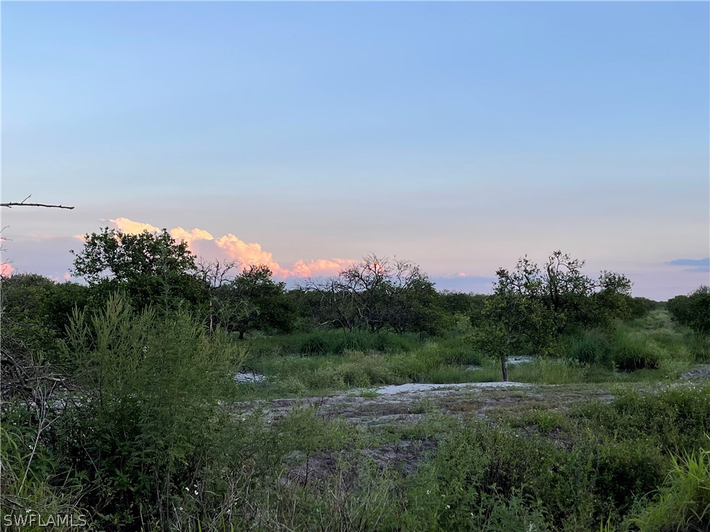 6475 7th Road LaBelle, FL 33935 - Photo 3 of 7 a view of a lake and green valley