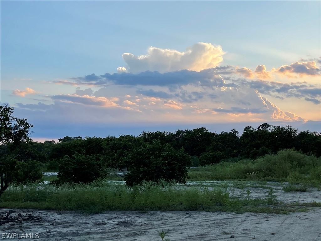 6475 7th Road LaBelle, FL 33935 - Photo 4 of 7 a view of a pathway both side of grassy field with shrub