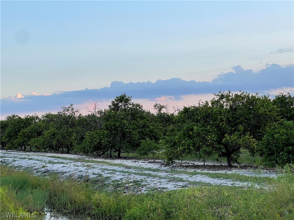6475 7th Road LaBelle, FL 33935 - Photo 5 of 7 a view of a town with mountains in the background