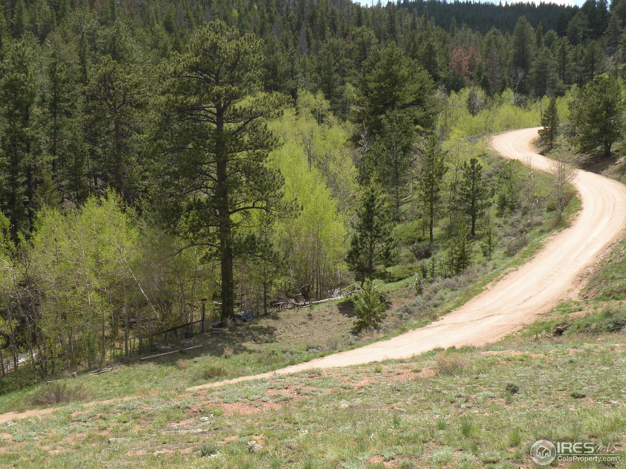 358 Beartrap Road Red Feather Lakes, CO 80545 - Photo 2 of 6 Gallery Image 2