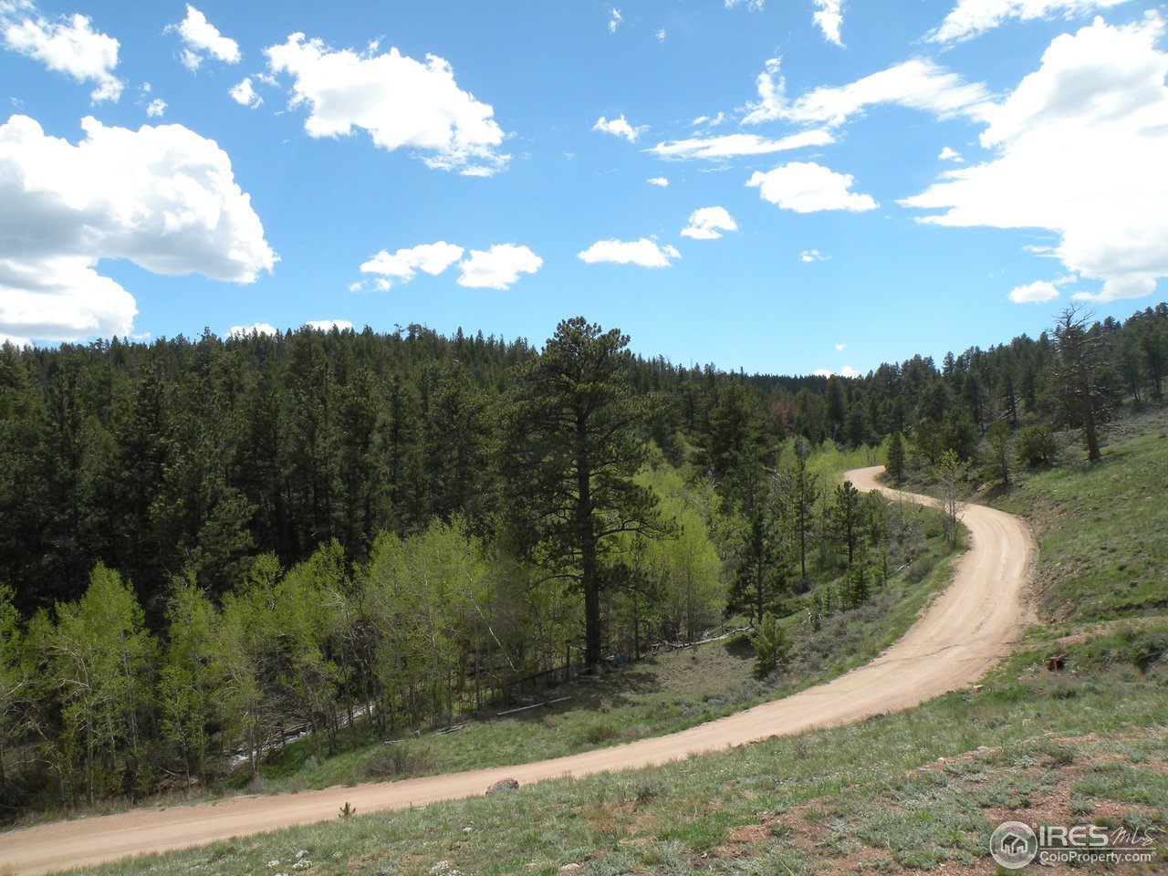 358 Beartrap Road Red Feather Lakes, CO 80545 - Photo 3 of 6 Gallery Image 3