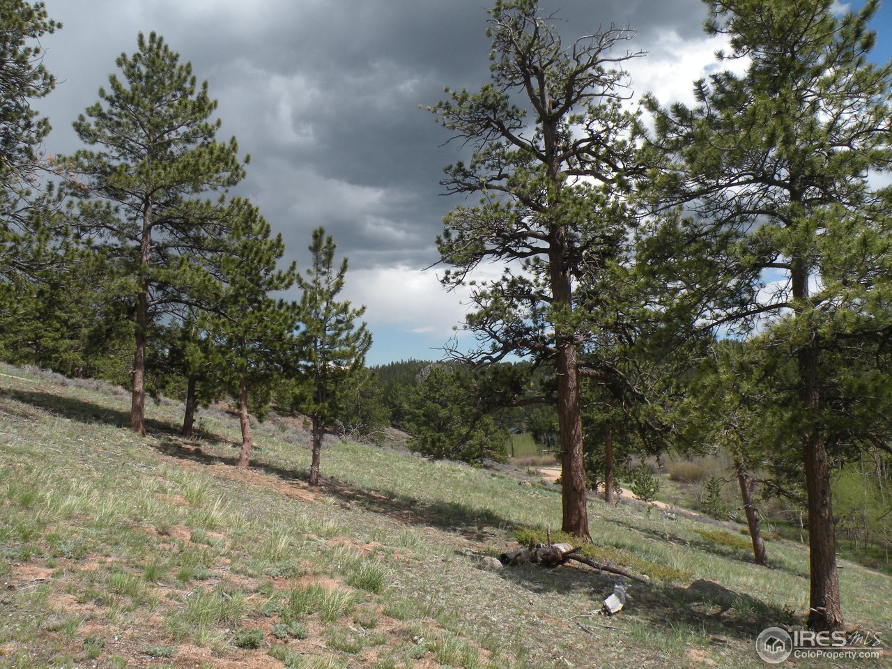 358 Beartrap Road Red Feather Lakes, CO 80545 - Photo 5 of 6 Gallery Image 5