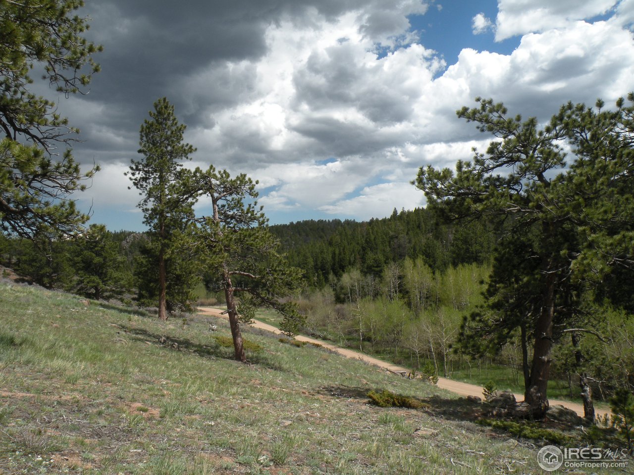 358 Beartrap Road Red Feather Lakes, CO 80545 - Photo 6 of 6 Gallery Image 6