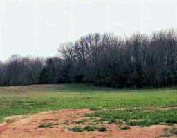 Salt Lick Road, Unit LOT265 Crestwood, KY 40014 - Photo 1 of 1 Primary Photo