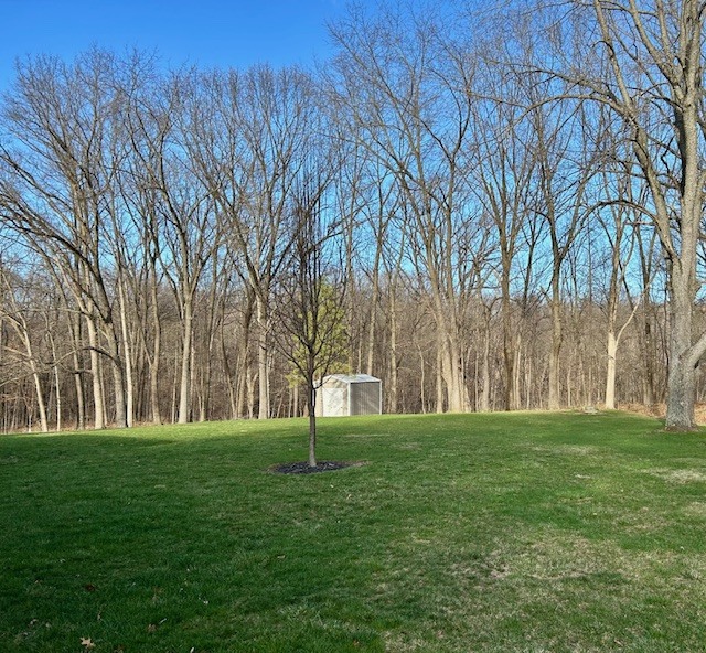 22219 Carltons Dell Road Danville, IL 61834 - Photo 54 of 58 a swimming pool with trees in the background