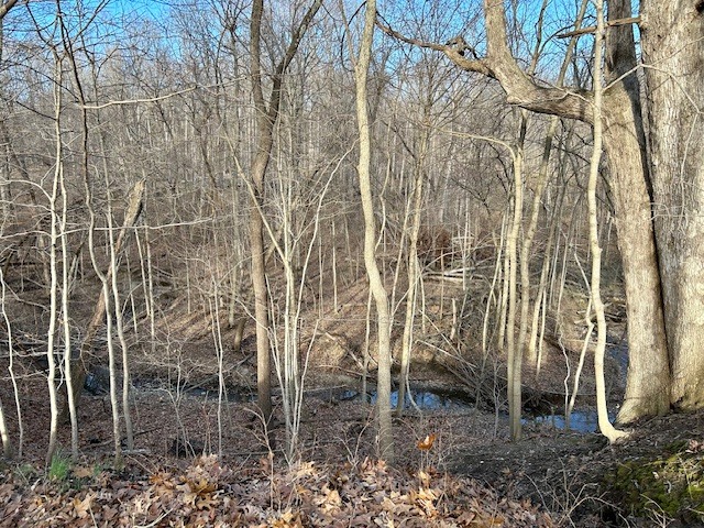 22219 Carltons Dell Road Danville, IL 61834 - Photo 57 of 58 a backyard of a house with lots of green space
