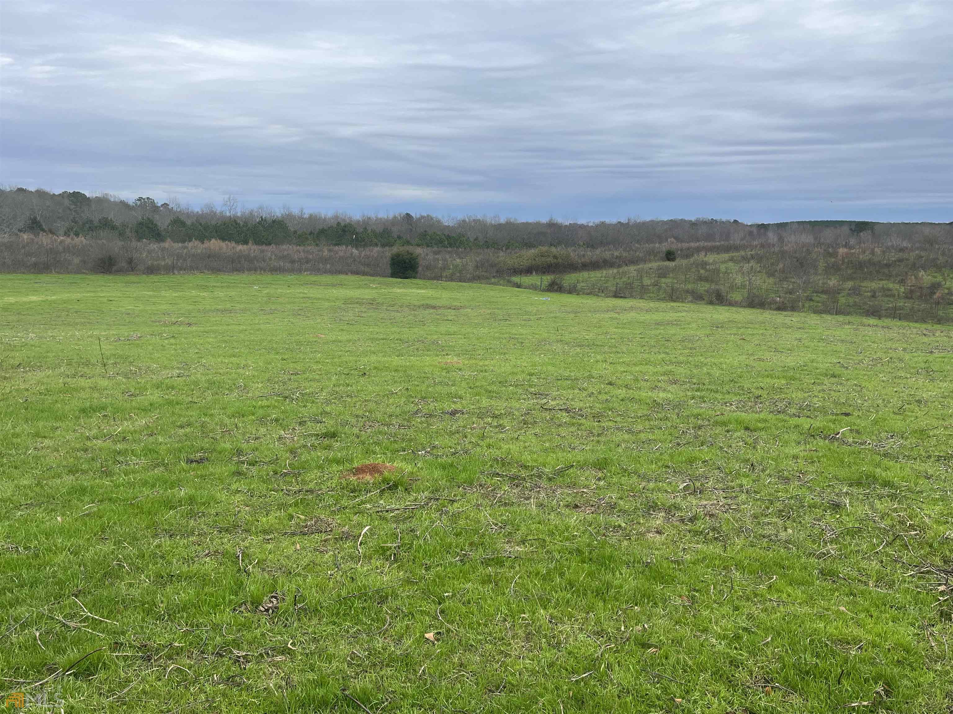 0 Turner Bridge Road Meansville, GA 30256 - Photo 1 of 1 Gallery Image 1