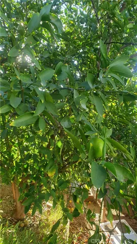 $795,000 | 12117 Van Nuys Boulevard, Sylmar, CA 91342