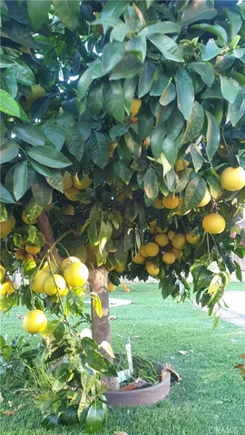 $795,000 | 12117 Van Nuys Boulevard, Sylmar, CA 91342