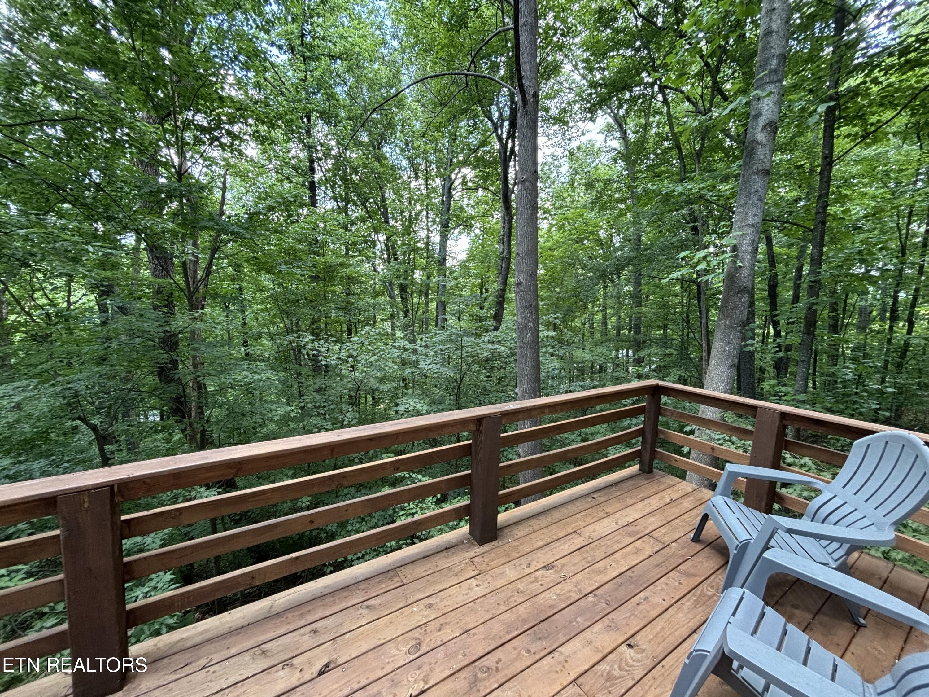 1015 Ruff Grouse Way Seymour, TN 37865 - Photo 39 of 55 IMG_0428