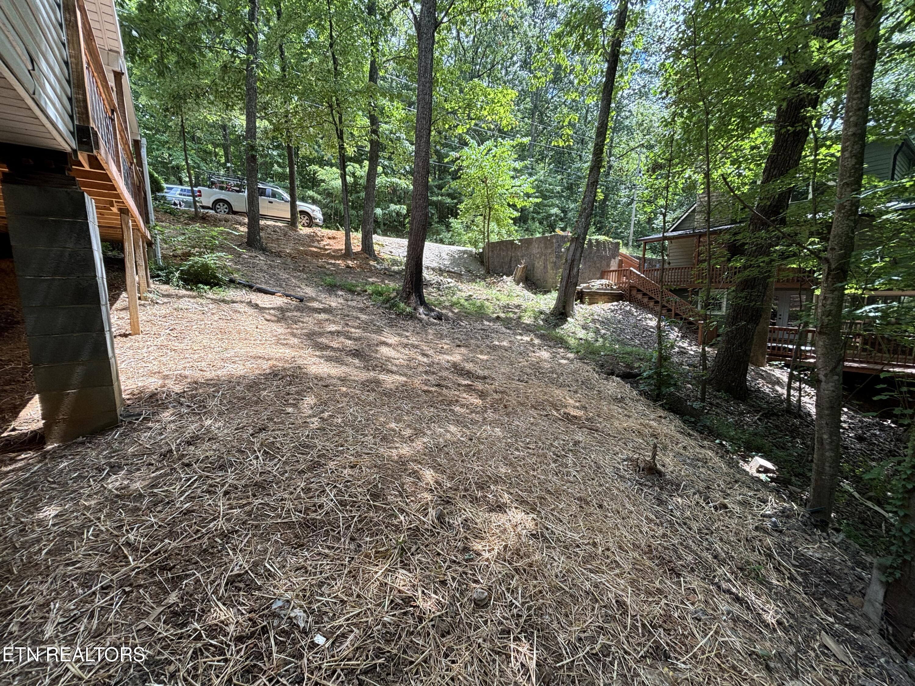 1015 Ruff Grouse Way Seymour, TN 37865 - Photo 53 of 55 IMG_0376