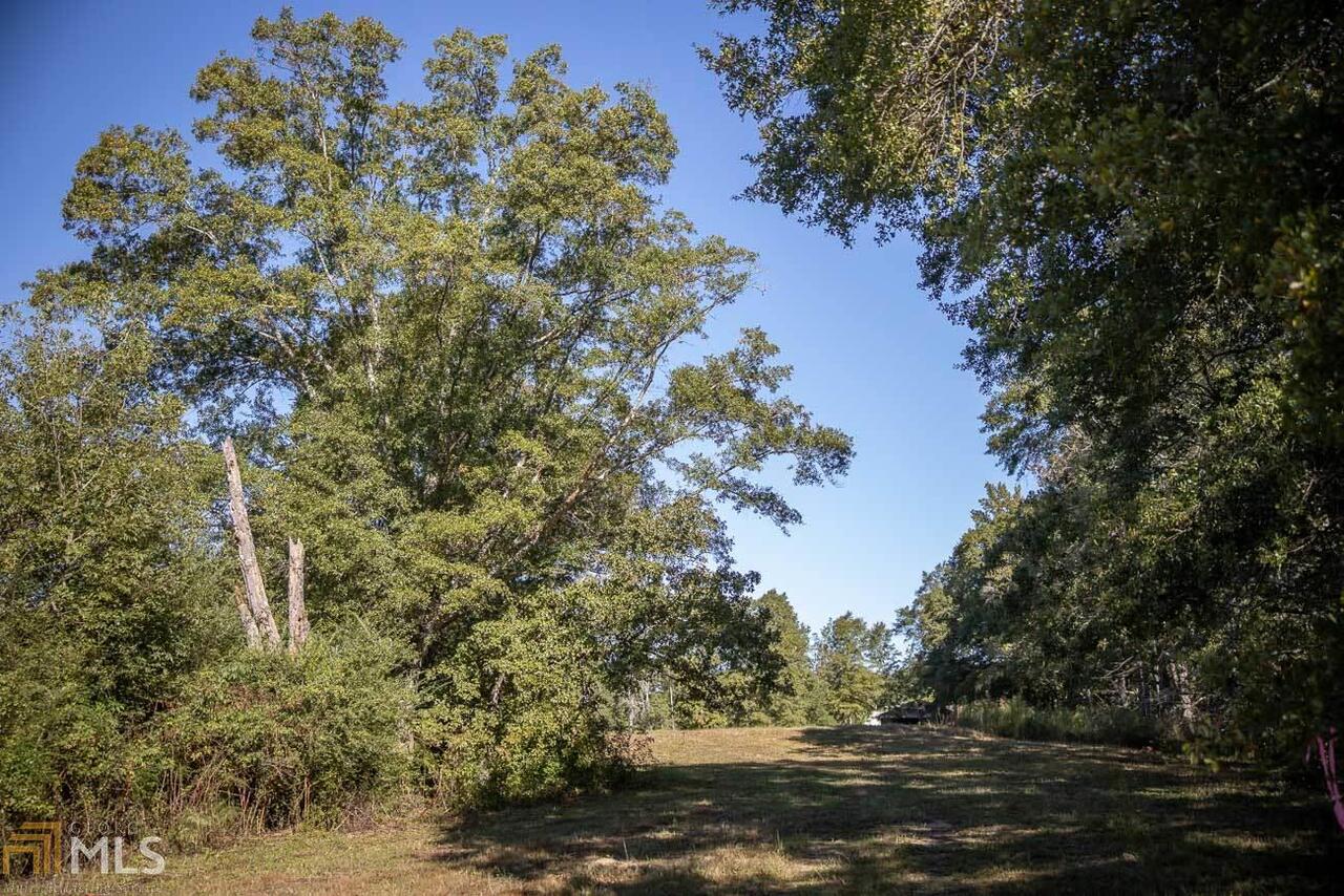 0 Jersey Walnut Grove Road, Unit TRACT 4 Covington, GA 30014 - Photo 1 of 1 a view of a tree in a yard