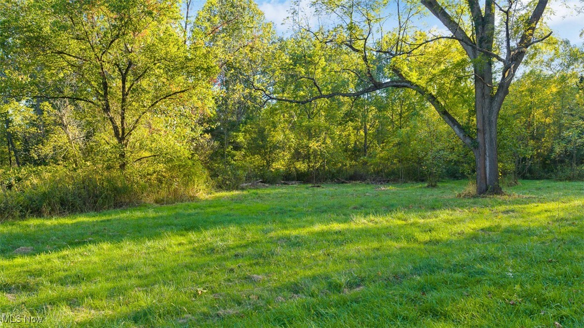 19345 Ridge Road North Royalton, OH 44133 - Photo 15 of 47 View of grassy yard