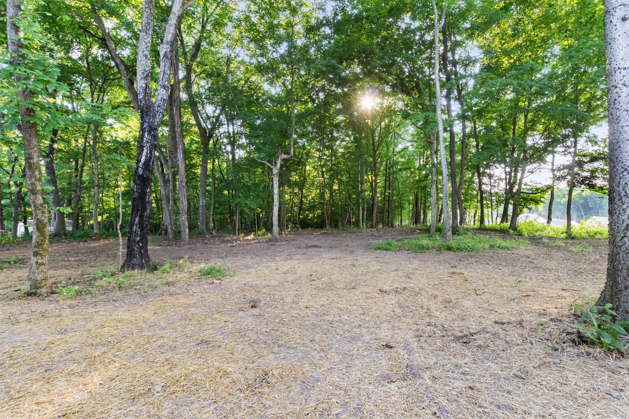 286 Edmondson Ferry Road Clarksville, TN 37040 - Photo 46 of 52 Gallery Image 46