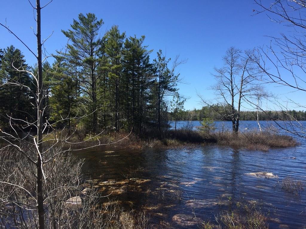 0 Bear Hollow Road Calais, ME 04619 - Photo 9 of 27 Photo