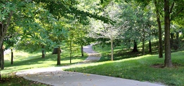 Amy Rooks, Real Estate Agent - Compass