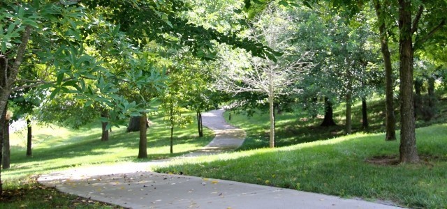 121 Stream Valley Boulevard Franklin, TN 37064 - Photo 54 of 60 a view of a park with a tree in the background