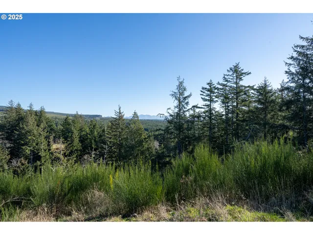 $140,000 | Ava-lot 8th Place, Tillamook, OR 97141