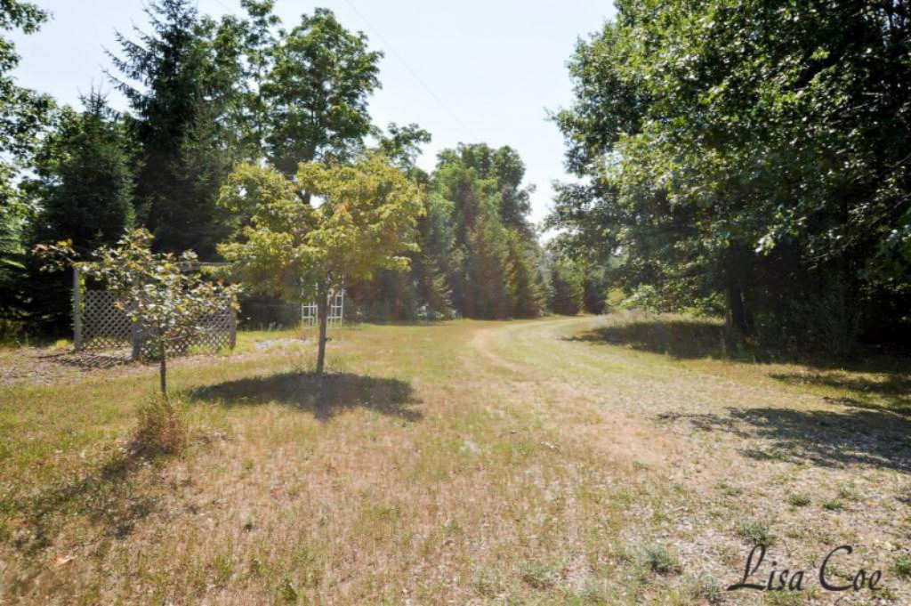 7440 North State Road Orleans, MI 48865 - Photo 36 of 36 Photo_035