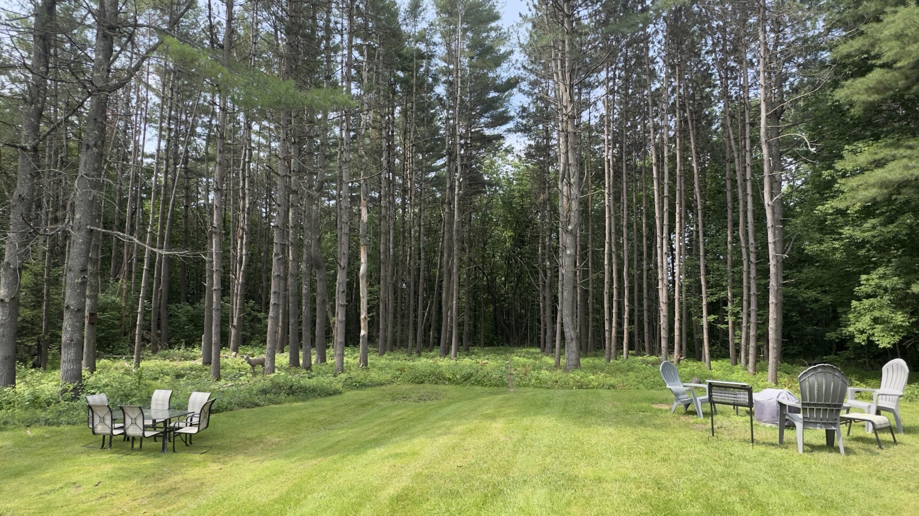 121 Knowlton Corner Road Farmington, ME 04938 - Photo 2 of 29 backyard