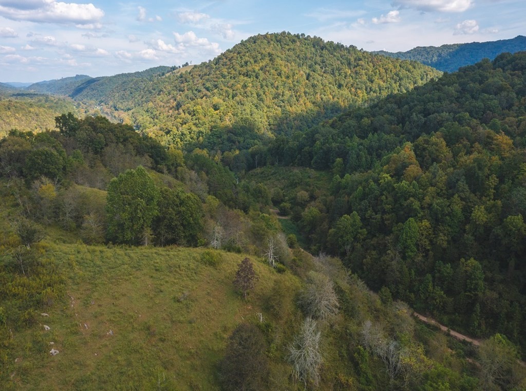215 Ed Hollow Road Eidson, TN 37731 - Photo 27 of 60 Gallery Image 27