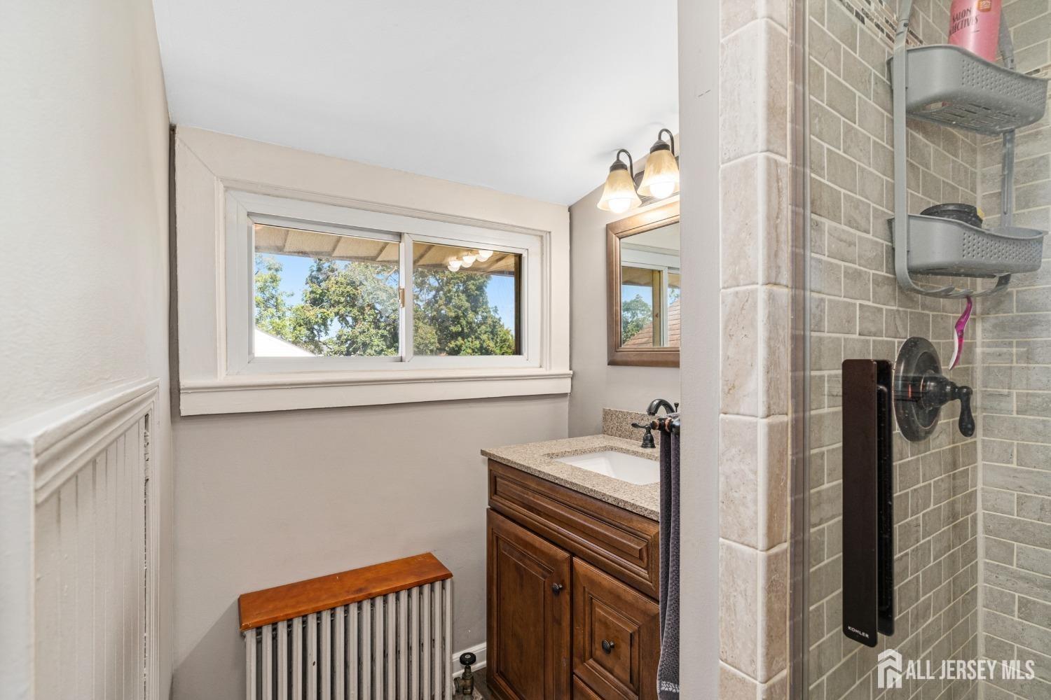 23 Reed Street Edison, NJ 08817 - Photo 17 of 21 a bathroom with a sink a mirror and a shower