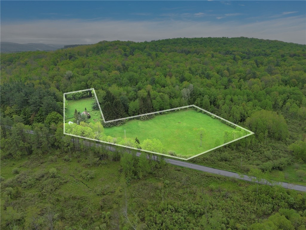 543 Middlefield Road Schenevus, NY 12155 - Photo 26 of 35